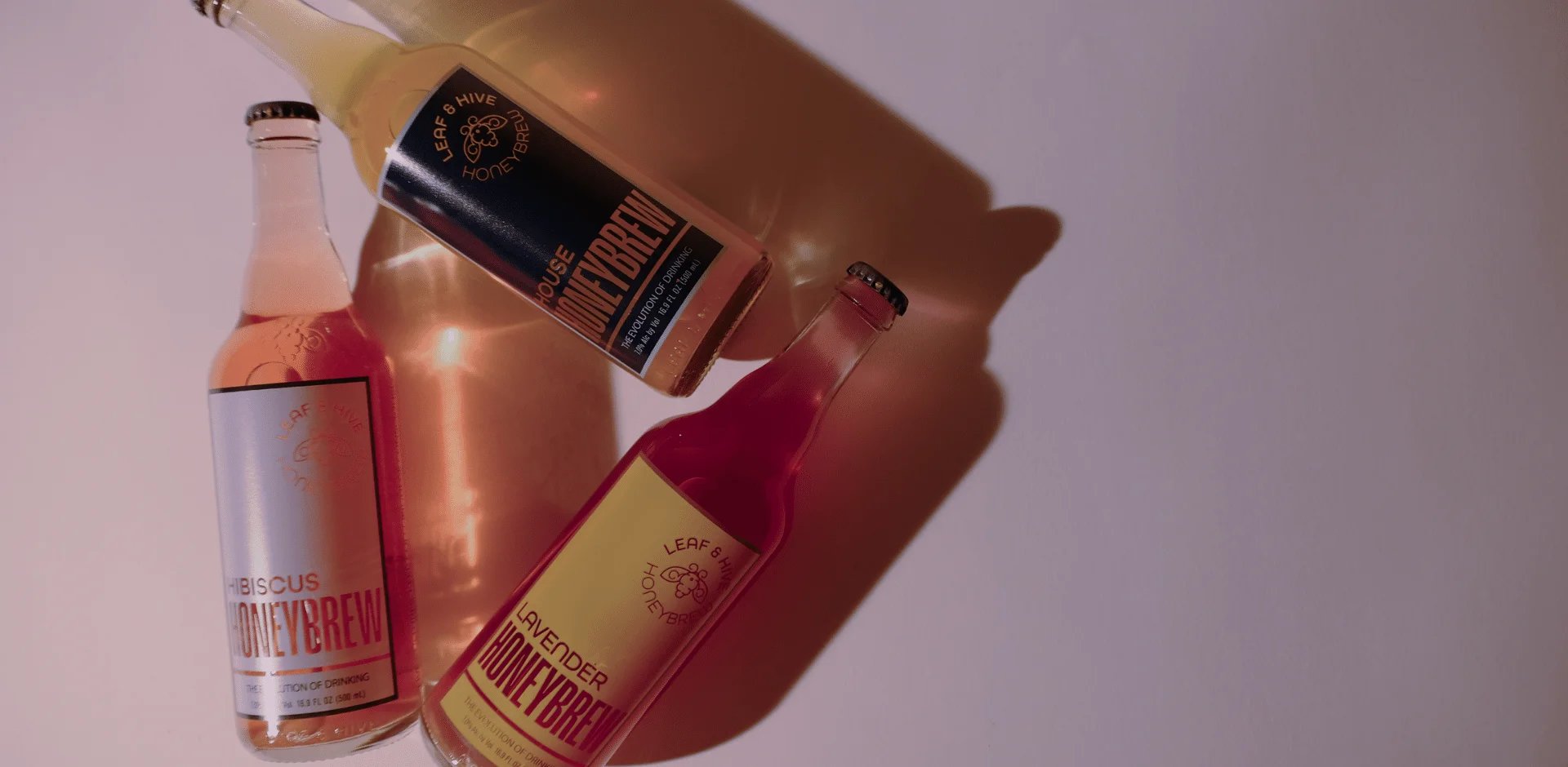 Bottle lineup + taproom welcome scene + Santa Fe Honeybrew.